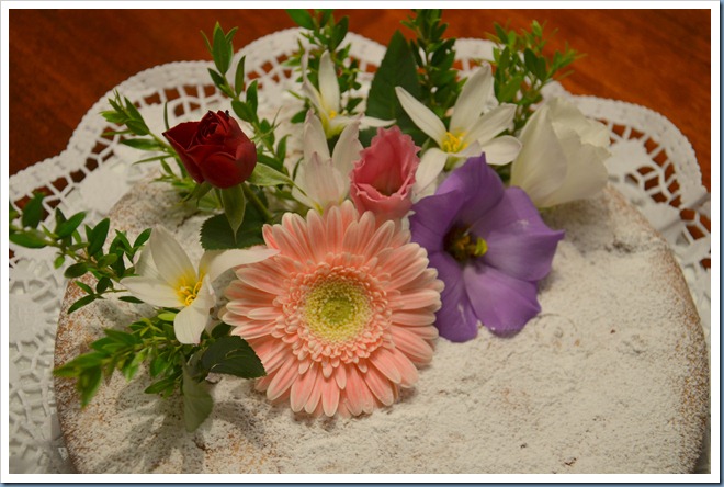 DSC_0658 DSC_0658