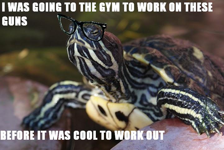 I was going to the gym to work on these guns before it was cool to work out