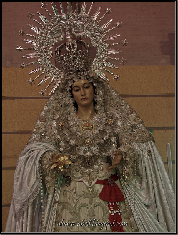 DSC00800 DSC00800