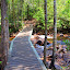 The Path To The Plunge Pool - Darwin, Australia