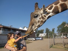 IMG_8660 IMG_8660