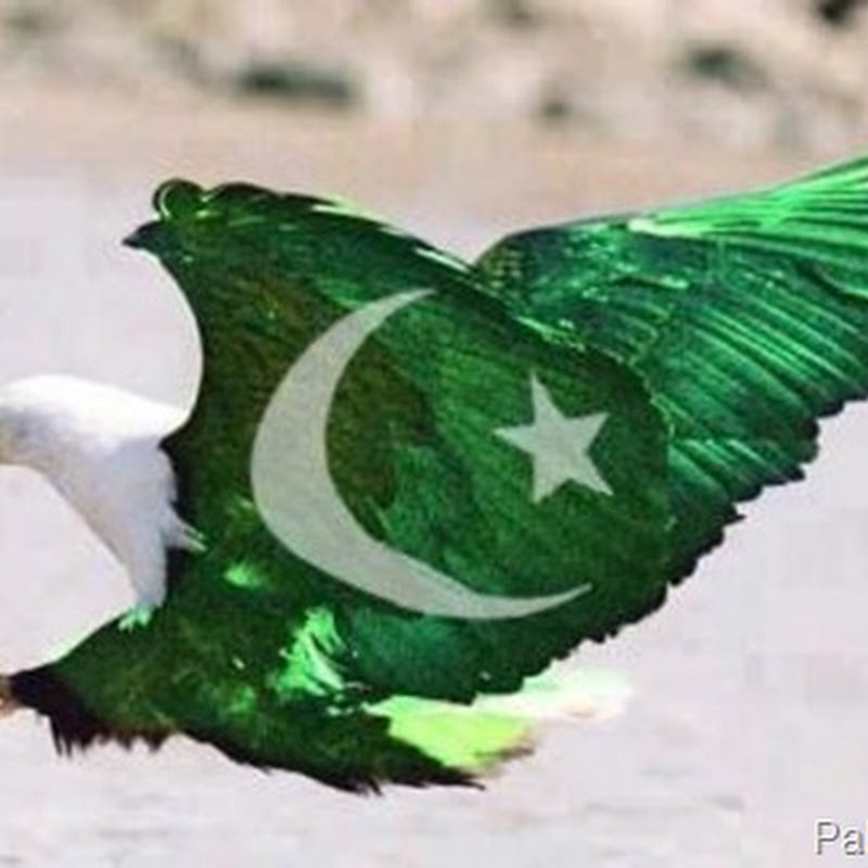 Eagle Shaped Pakistani Flag in the Air 2013