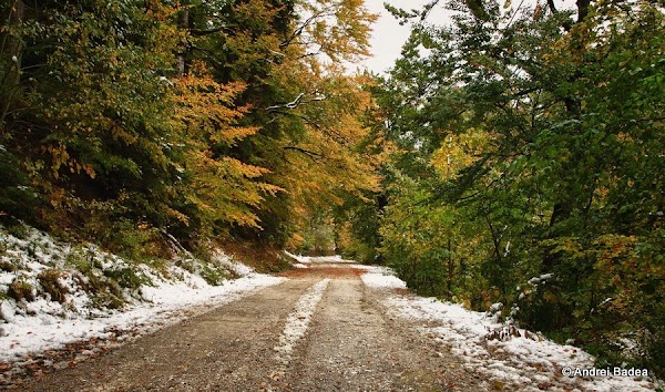 baiului-32.jpg