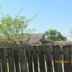 IMG_7219.JPG