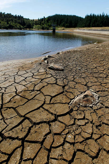 Lake Kiwitahi the water reservoir at Kiwitahi, that supplies water to Morrinsville is drying up in the New Zealand drought of 2013. Photo: Christine Cornege