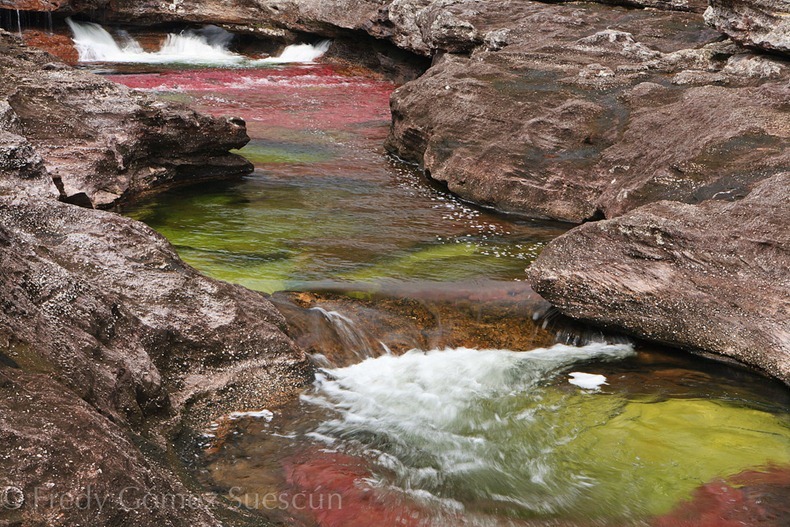  نهر الالوان الخمسة من اجمل انهار العالم : Cano-cristales-2%25255B2%25255D