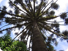 Parque provincial Cruce Caballero