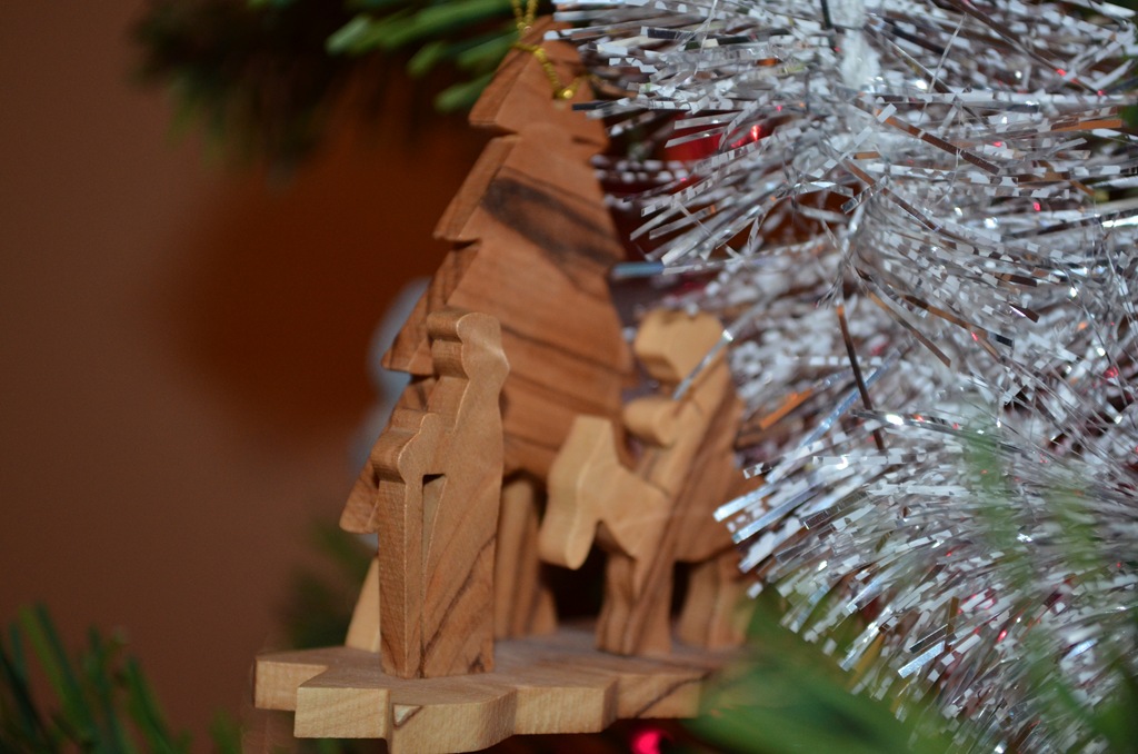 [DSC_0036%255B6%255D.jpg]