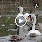 IMG_8176-MOTION.gif