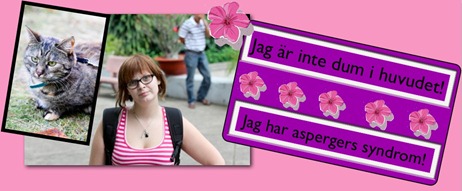 _Skärmavbild-jpg