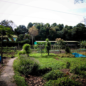 Spice Village