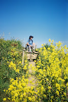 A blooming stile.