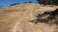 DSC02983.jpg