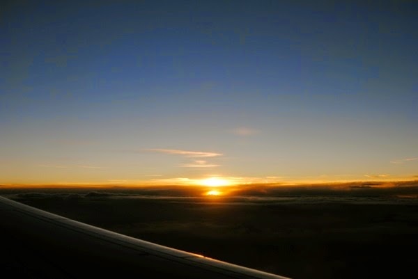 DSC_0010.JPG DSC 0010