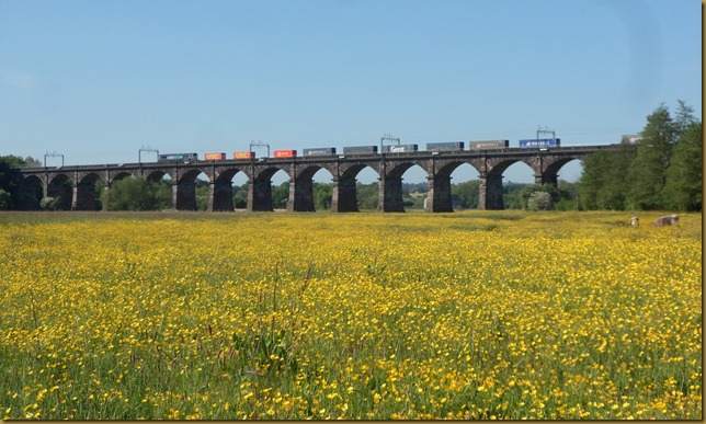 SAM_5724 Dutton Viaduct SAM_5724 Dutton Viaduct