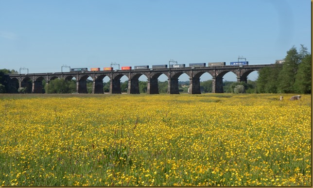 SAM_5724 Dutton Viaduct