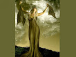 Spell Of Nature