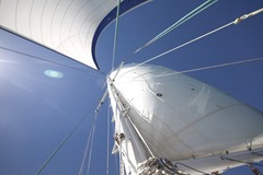 Freewind sail Bay of Islands