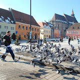 Team Building 2010 (2).JPG