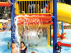 p1236737046(1).jpg