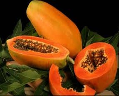 buah pepaya buah pepaya