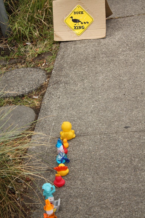 [IMG_5795%255B4%255D.jpg]