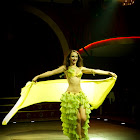 Document Name_3_214.JPG