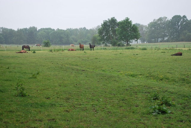 [DSC_0071%255B4%255D.jpg]