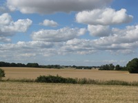IMG_7885 IMG_7885