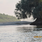IMG_6458.JPG