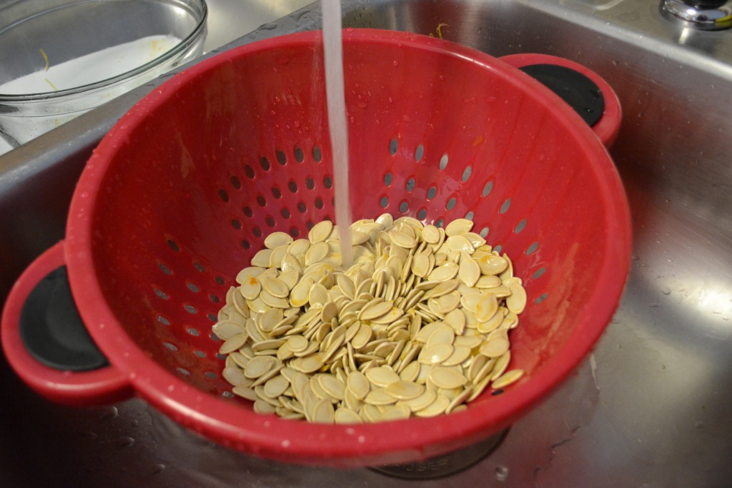 [DSC_03884.jpg]
