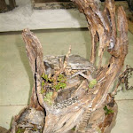 IMG_5437.JPG