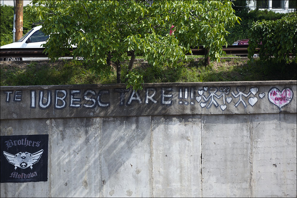 176.jpg