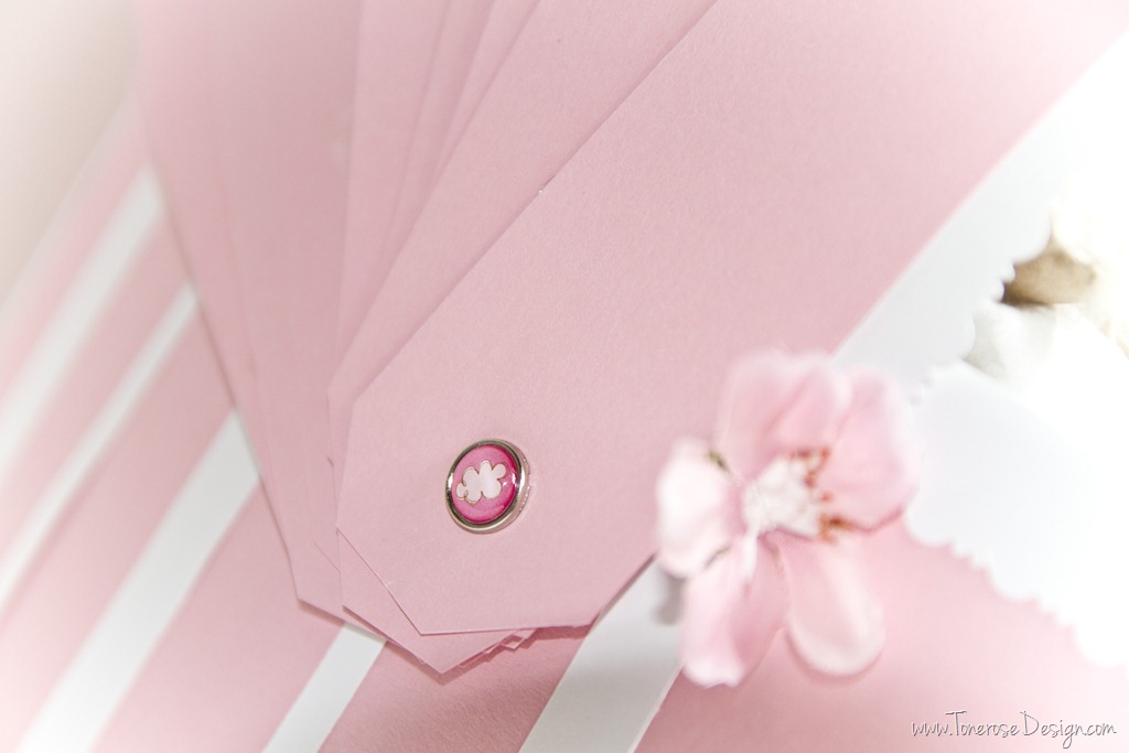 [IMG_4199%255B10%255D.jpg]