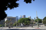 IMG_7296.jpg