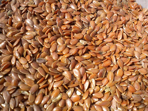 [flax%255B4%255D.jpg]