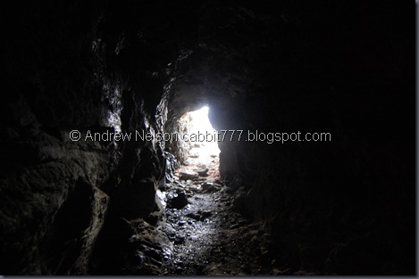 DSC_0077 DSC_0077