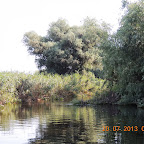 DSCN4581.JPG
