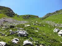 IMG_1427.JPG