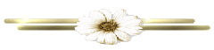 02 02