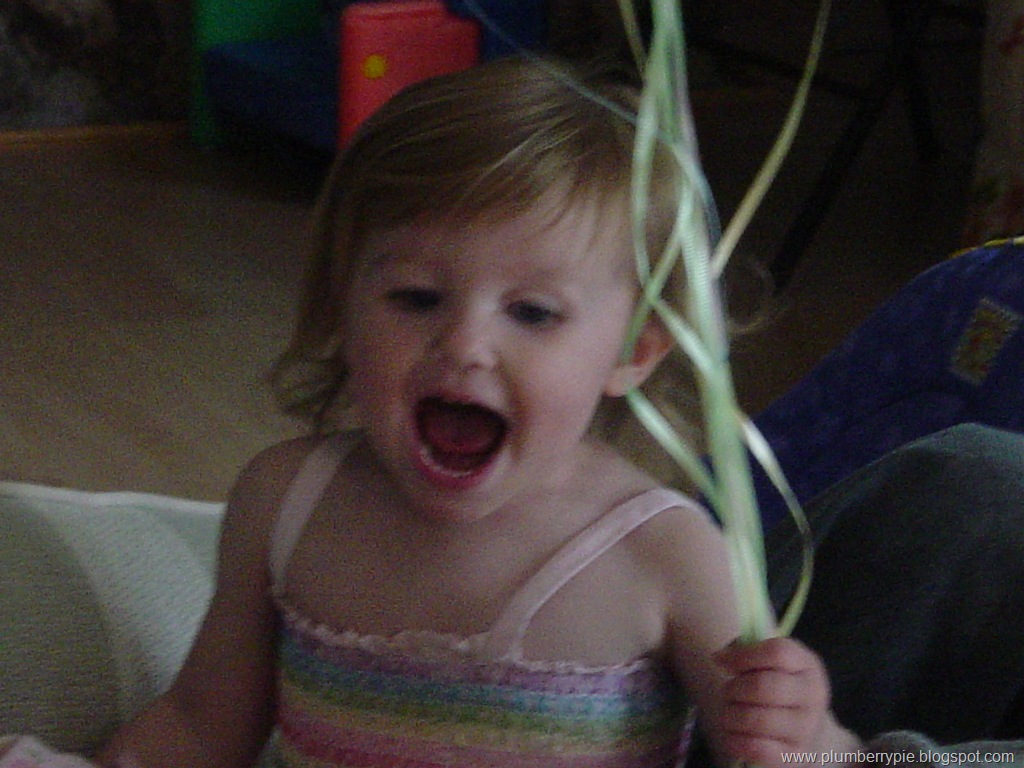 [DSC017393.jpg]