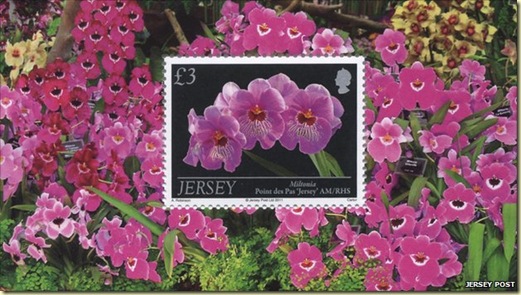jersey