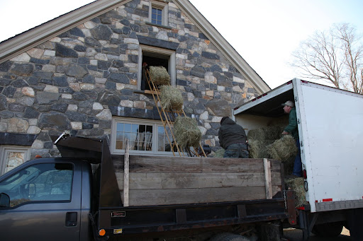 The conveyor was lowered and look how easy it makes getting those heavy bales up into the hay loft!  The chain has big hooks, which grip the bales for transport.11