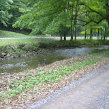 Helvetia Trail Run 2003