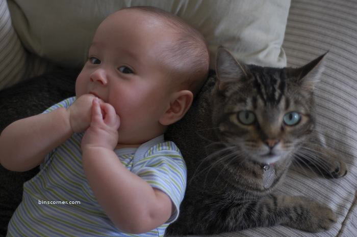 So Sweet Photos : You will smile for sure