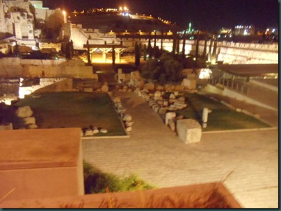 DSC03355 DSC03355