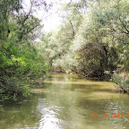 DSCN7207.JPG