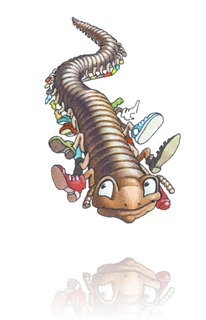 Centipede iStock_000018779056XSmall Centipede iStock_000018779056XSmall
