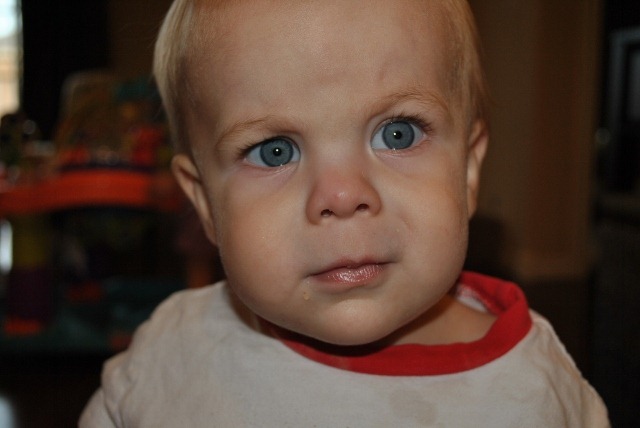 [DSC_0570-640x4284.jpg]