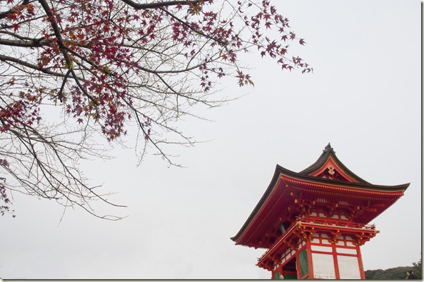 DSC_0128_1 DSC_0128_1